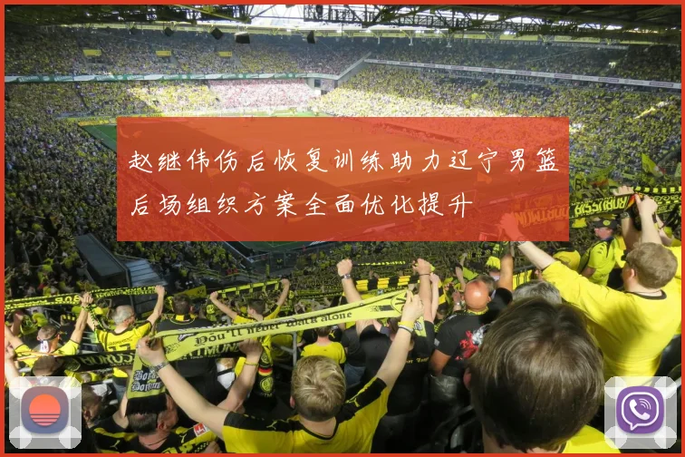赵继伟伤后恢复训练助力辽宁男篮后场组织方案全面优化提升